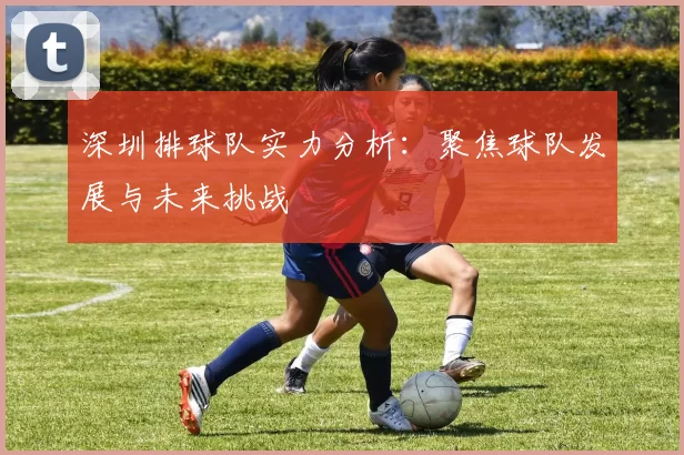 深圳排球队实力分析：聚焦球队发展与未来挑战