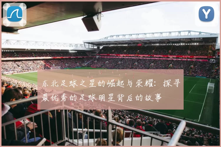东北足球之星的崛起与荣耀：探寻最优秀的足球明星背后的故事