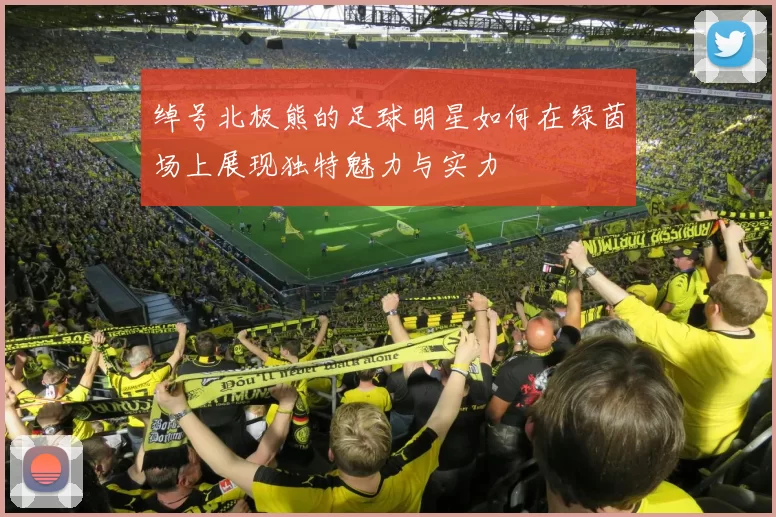 绰号北极熊的足球明星如何在绿茵场上展现独特魅力与实力