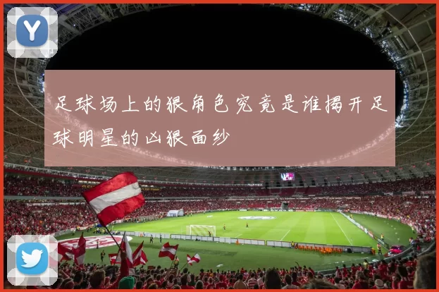足球场上的狠角色究竟是谁揭开足球明星的凶狠面纱