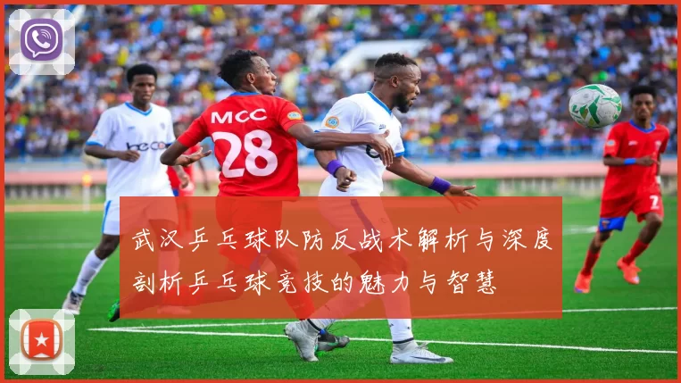 武汉乒乓球队防反战术解析与深度剖析乒乓球竞技的魅力与智慧