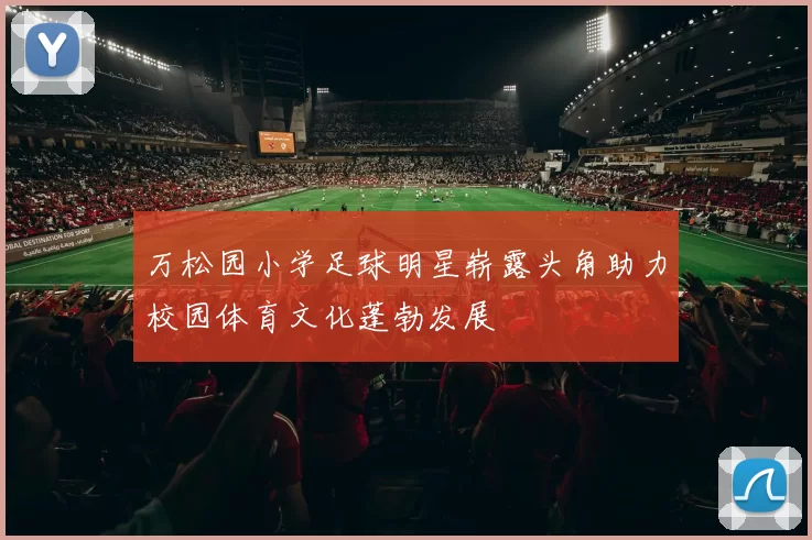 万松园小学足球明星崭露头角助力校园体育文化蓬勃发展