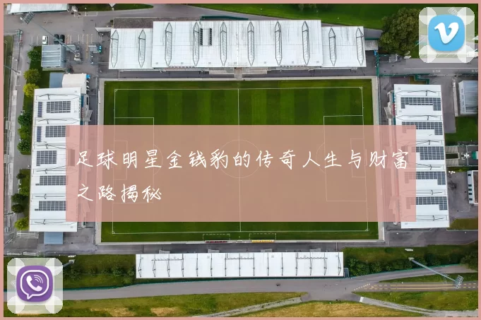 足球明星金钱豹的传奇人生与财富之路揭秘