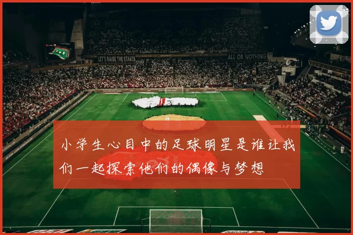 小学生心目中的足球明星是谁让我们一起探索他们的偶像与梦想