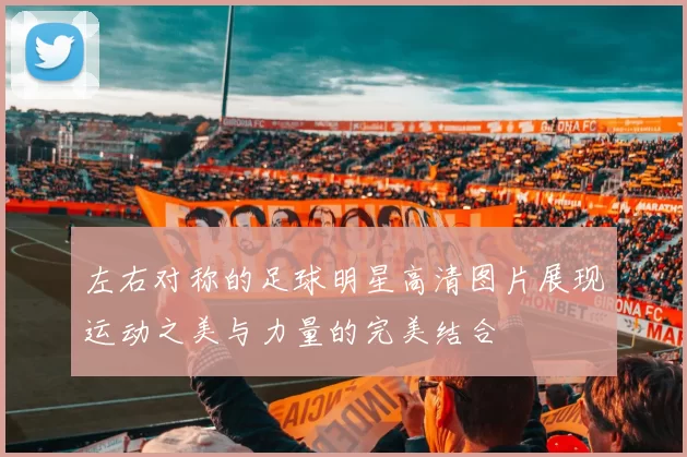 左右对称的足球明星高清图片展现运动之美与力量的完美结合