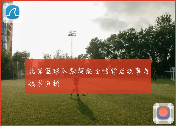 北京篮球队默契配合的背后故事与战术分析