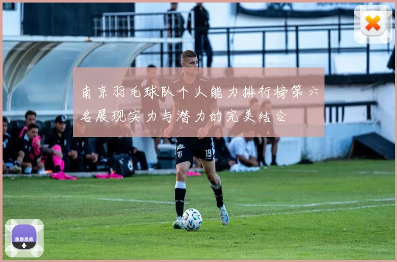 南京羽毛球队个人能力排行榜第六名展现实力与潜力的完美结合